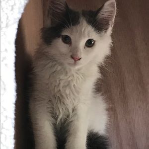 Meet your Posher, Eileen